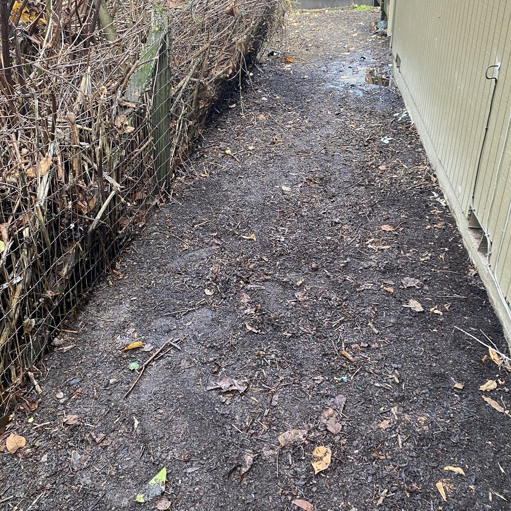 Show Us Your Junk - Cleaned up yard debris - Junk Removal & Hauling Near Me - Sherwood, Oregon Show Us Your Junk - Cleaned up yard debris - Junk Removal & Hauling Near Me - Sherwood, Oregon