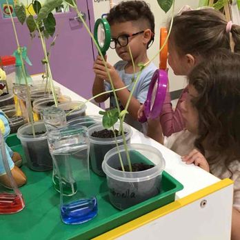 The Learning Experience - Fish Hawk - Preschools Near Me - Lithia, Florida The Learning Experience - Fish Hawk - Preschools Near Me - Lithia, Florida
