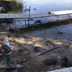 Harmony Beach Resort - Great fun for kids! The ducks are family here!
