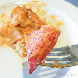 El Racó del Navegant - Mil hojas de bogavante
