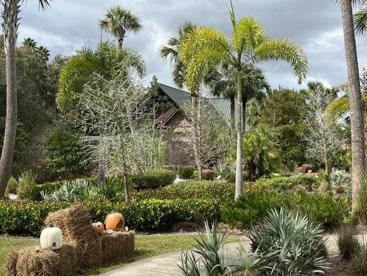 Ah-Tah-Thi-Ki Museum by null