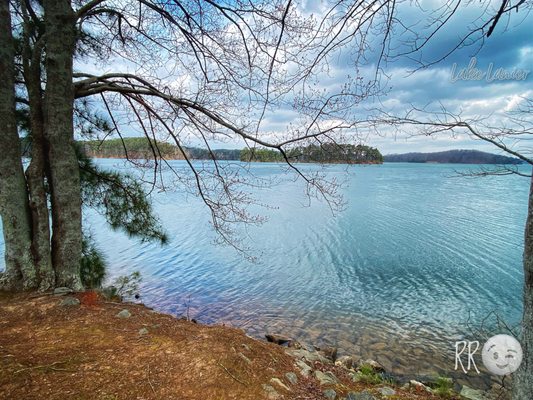 Lake Lanier by null