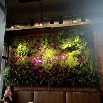BODHI - Inside - Thai Near Me - Indianapolis, Indiana BODHI - Inside - Thai Near Me - Indianapolis, Indiana