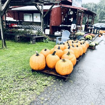 Migliorelli Farm Stand - Pumpkin Headquarters - Farmers Market Near Me - Phoenicia, New York Migliorelli Farm Stand - Pumpkin Headquarters - Farmers Market Near Me - Phoenicia, New York