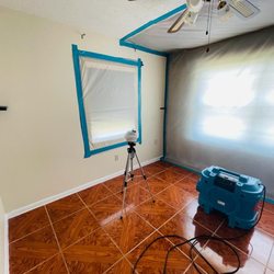 South Florida Mold Experts - Mold testing