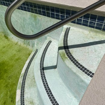 Mister Poolman - "Jack & Marina's Pool 2" - Pool Cleaners Near Me - Sherman Oaks, California Mister Poolman - "Jack & Marina's Pool 2" - Pool Cleaners Near Me - Sherman Oaks, California