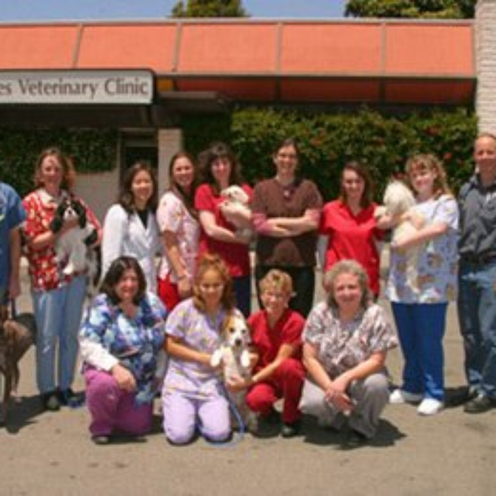TOP 10 BEST Veterinarians near Solano Ave, Albany, CA - Updated 2026 - Yelp