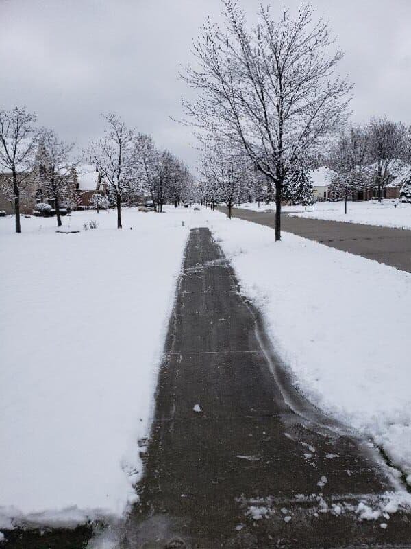 The Cat Landscaping and Tree Service - tree service in Lexington-Fayette, KY