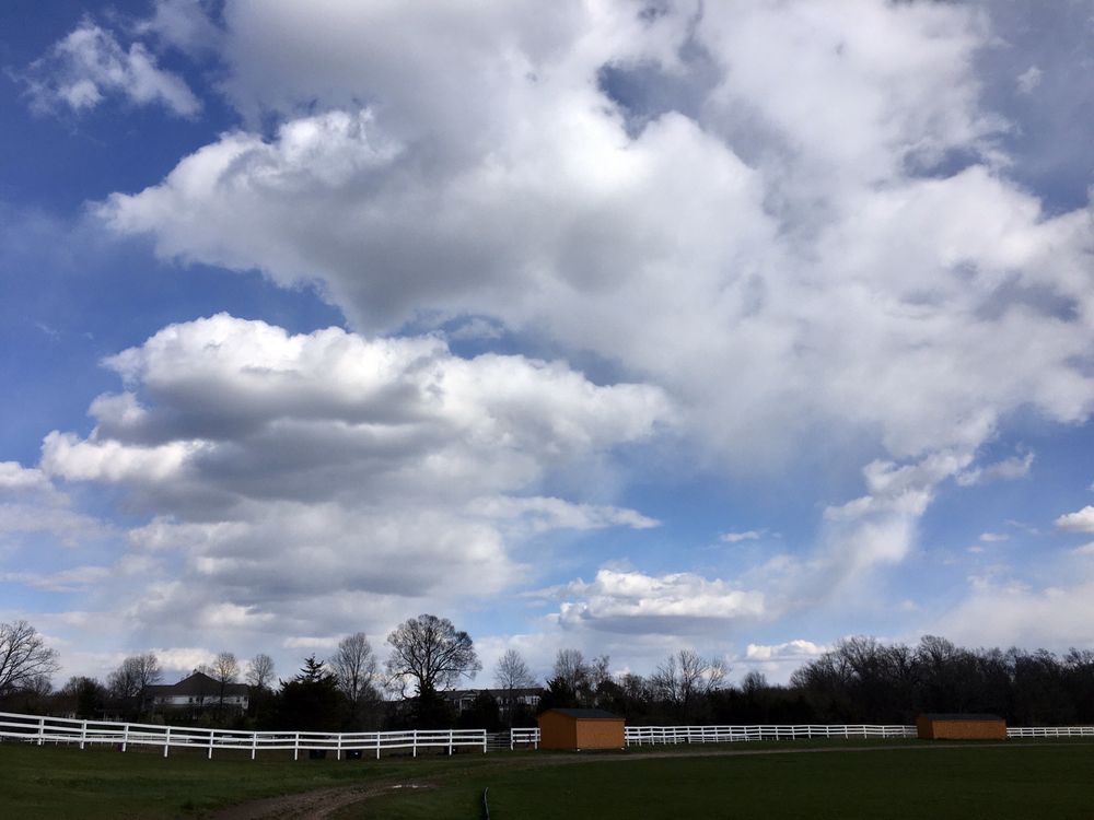 SHANNON HILL POLO CLUB Updated September 2024 16 Photos 15