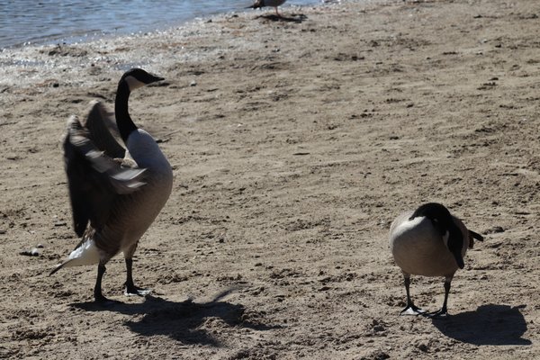 Rockwood Conservation Area by null