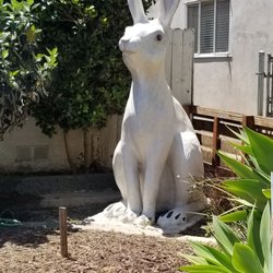 Giant Bunny