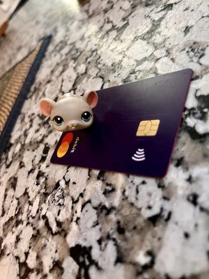 Blue Elephant Restaurant by null