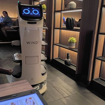 Wind Japanese and Thai - The cute cat robot. - Thai Near Me - Buffalo, New York