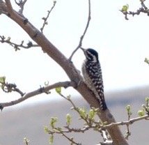 City of Rocks State Park by null