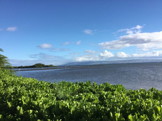 Moloka‘i Shores by null