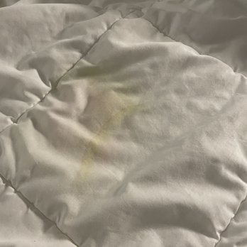 Courtyard by Marriott Santa Rosa - Yellow stain on the comforter. - Hotels Near Me - Santa Rosa, California Courtyard by Marriott Santa Rosa - Yellow stain on the comforter. - Hotels Near Me - Santa Rosa, California