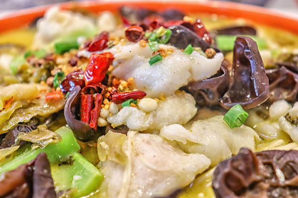 Fish With You 鱼你在一起 by null