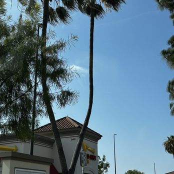 In-N-Out Burger - Burgers Near Me - Inglewood, California In-N-Out Burger - Burgers Near Me - Inglewood, California