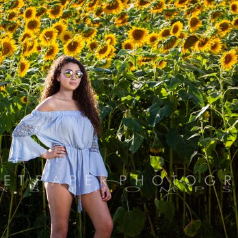 Lea Shannon Photography - Sunflower photos in Paris Kentucky in 2018. - Session Photography Near Me - Nicholasville, Kentucky Lea Shannon Photography - Sunflower photos in Paris Kentucky in 2018. - Session Photography Near Me - Nicholasville, Kentucky