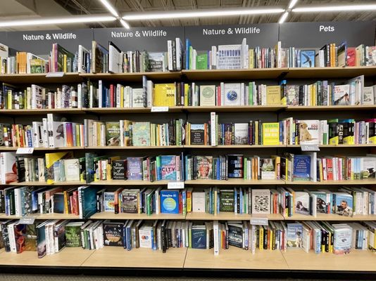 Barnes & Noble by null