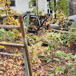 Ivy Acres