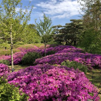 Chicago Botanic Garden - Botanical Gardens Near Me - Glencoe, Illinois