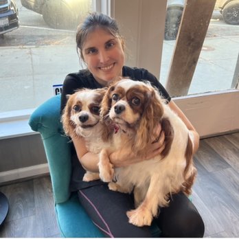 Furology Pet Salon - Pet Groomers Near Me - Highland Park, Illinois