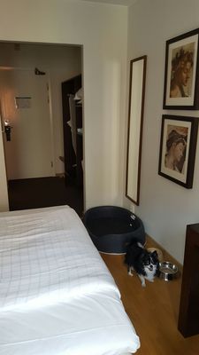 First Hotel Statt by null