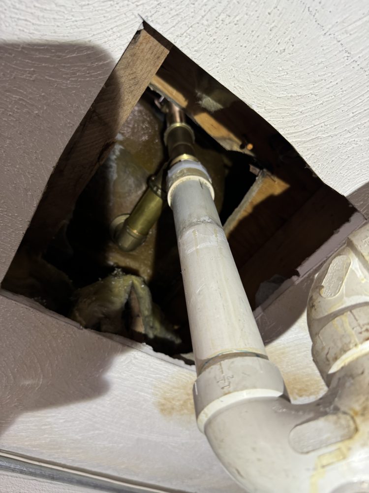 Slide of Mave Service