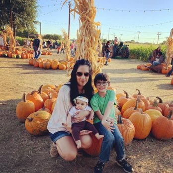 Hall's Pumpkin Farm - Pumpkins - Pumpkin Patches Near Me - Grapevine, Texas