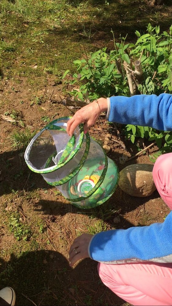 THE WESTON WING 313 North Ave, Weston, Massachusetts Preschools