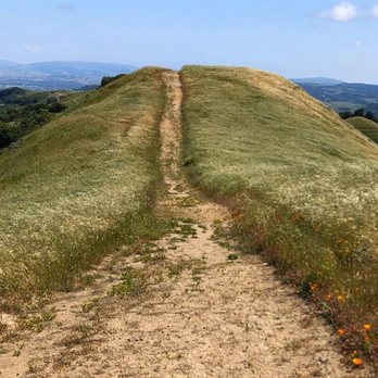 Las Trampas Regional Wilderness - Parks Near Me - San Ramon, California Las Trampas Regional Wilderness - Parks Near Me - San Ramon, California