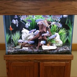 The Reserve at First Colony Assisted Living and Memory Care