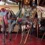 Photo of Manège Dufaux