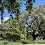 Photo of Carlton Gardens