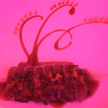 Casa Asia - Seared white tuna- jerry special - Asian Fusion Near Me - Whitestone, New York Casa Asia - Seared white tuna- jerry special - Asian Fusion Near Me - Whitestone, New York