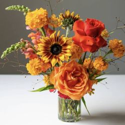 Hollywood Floral and Design