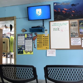 Crystal River Kayak Company - Manatee etiquette and behavior lesson - Rafting/Kayaking Near Me - Crystal River, Florida