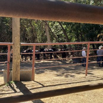 Circle Bar B Stables - Horseback Riding Near Me - Santa Barbara, California
