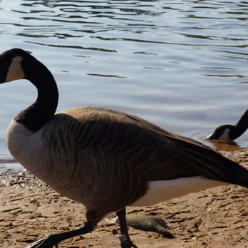 Branson Lakeside RV Park - Campgrounds Near Me - Branson, Missouri