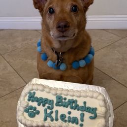 Small Cake Small Cake