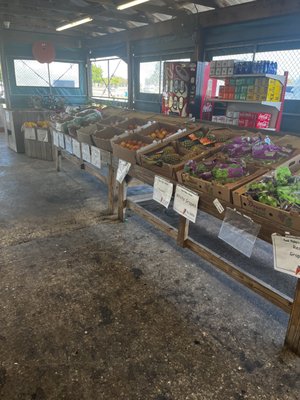 Fresh Pickins Market by null