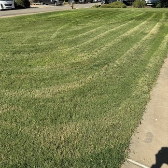 Valencia Landscaping and Tree Services - AFTER - Mid-portion looks completely normal - Landscaping Near Me Valencia Landscaping and Tree Services - AFTER - Mid-portion looks completely normal - Landscaping Near Me