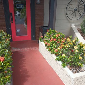 Dark & Light Cafe - Vegan Near Me - Mount Dora, Florida
