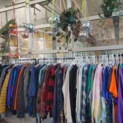Alchemy Plants And Thrift