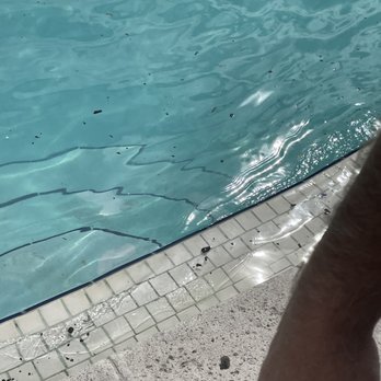 Saddlebrook Resort - The pool was nice. It only had a little bit of dirt in it on the edges but the pool was great. - Resorts Near Me - Wesley Chapel, Florida