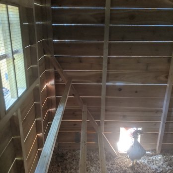 Texas Cedar Shop - The girls love their roosting bars! There are nesting boxes on the other side not in this photo. - General Contractors Near Me - Sealy, Texas Texas Cedar Shop - The girls love their roosting bars! There are nesting boxes on the other side not in this photo. - General Contractors Near Me - Sealy, Texas