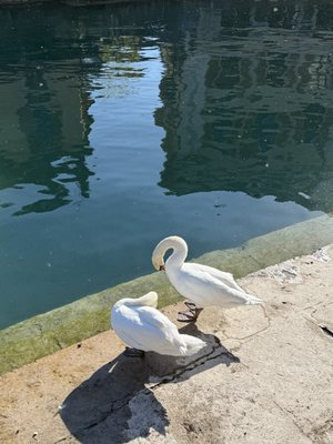 Impérial Palace by null