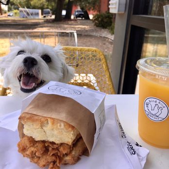 Bird Bird Biscuit - Queen Beak featuring Beaux - Breakfast & Brunch Near Me - Austin, Texas