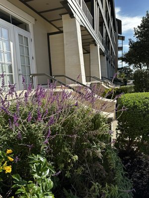 Celeste at la Cantera